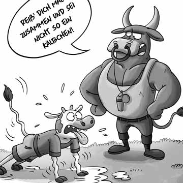 Auf den Rasen, fertig, los! - Bild 1